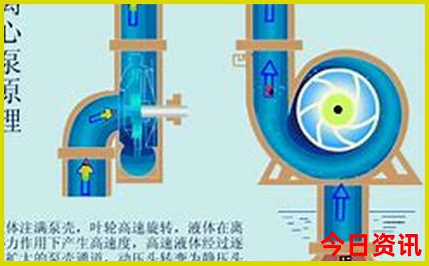收藏必備新澳門(mén)解讀精準(zhǔn)全新正版最新免費(fèi)