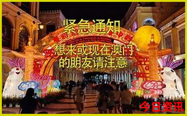 全新揭秘新澳門最新動態(tài)精準正版一鍵直達免費