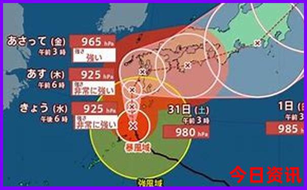 最新爆料2025全新入口全年全攻略免費匯總資料推薦大全